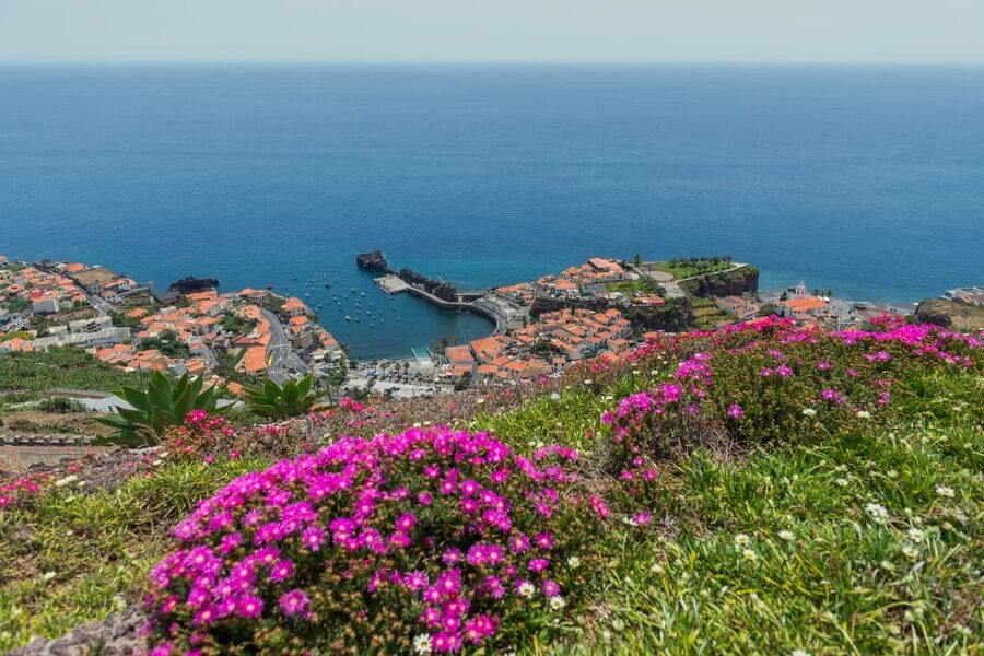 Funchal: Private Tuk-Tuk Tour to Cabo Girão Cliff - Skywalk - Pico da Torre and the first wide view