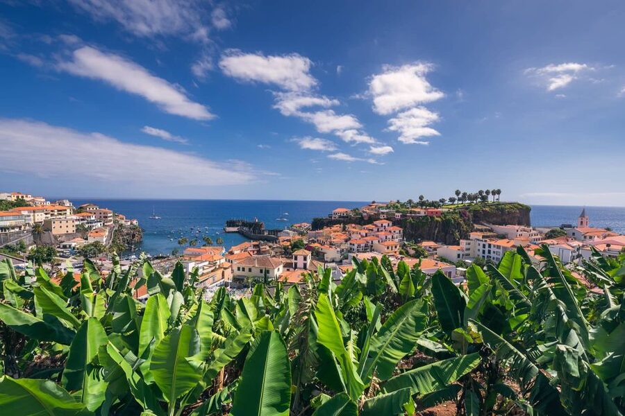 Funchal: Private Tuk-Tuk Tour to Cabo Girão Cliff - Skywalk - Comfort, access, and what to bring
