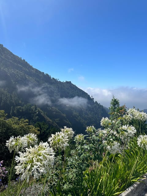 Funchal: Valley of the Nun’s tour by tuk tuk - Key points to know before booking