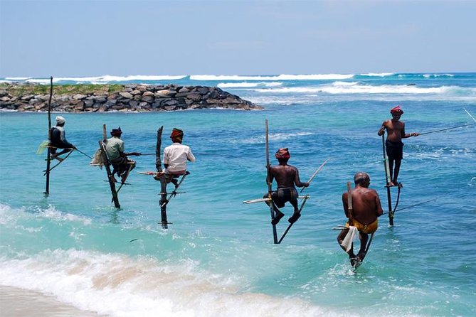 Galle Sightseein Rickshaw Tour - Who should choose the morning or afternoon option?