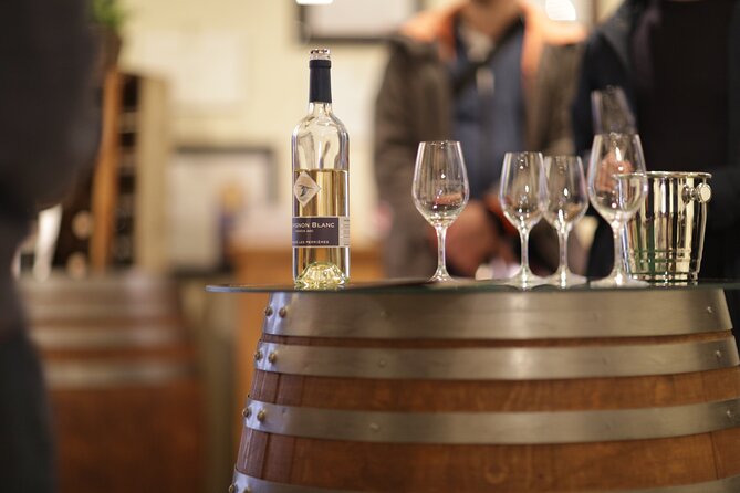 Geneva Panoramic & Tasting Vineyards Tour in an Tuk Tuk - Practical details that affect your choice