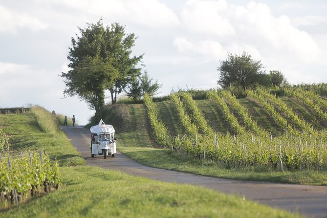 Geneva Panoramic & Tasting Vineyards Tour in an Tuk Tuk - Who should book this Geneva wine tour?