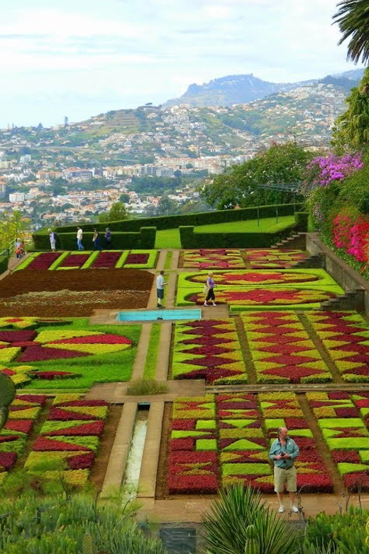 Guided Tuk-Tuk Tour to Botanical Garden (From Funchal) - Key points to know before booking