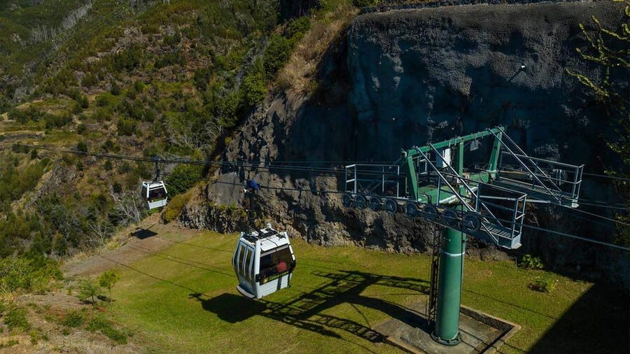 Guided Tuk-Tuk Tour to Botanical Garden (From Funchal) - Booking details worth checking