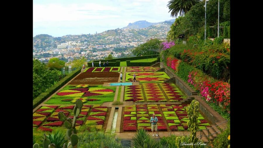 Guided Tuk-Tuk Tour to Botanical Garden (From Funchal) - A short ride with a clear purpose