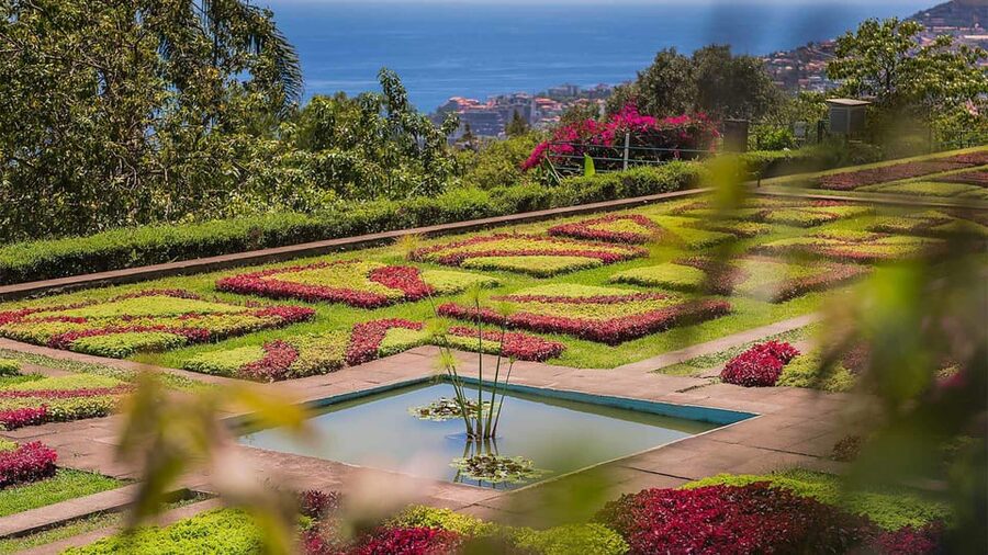Guided Tuk-Tuk Tour to Botanical Garden (From Funchal) - Who should book this experience