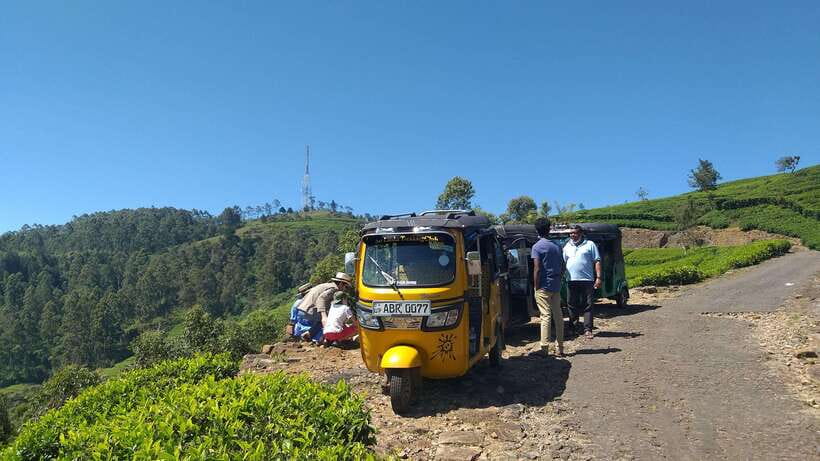 Haputale:Glorious Tuk Tuk Ride to Lipton'sSeat & Tea Factory - What the guide adds to the experience