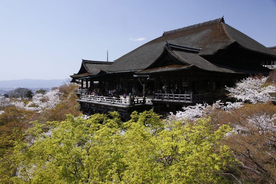 Higashiyama | Kyoto: Sakura Season Private Rickshaw Tour - What the $125 price means
