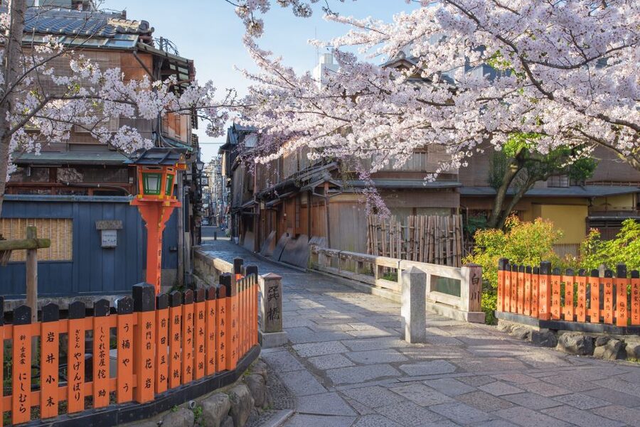 Higashiyama | Kyoto: Sakura Season Private Rickshaw Tour - Sakura views among old wooden houses