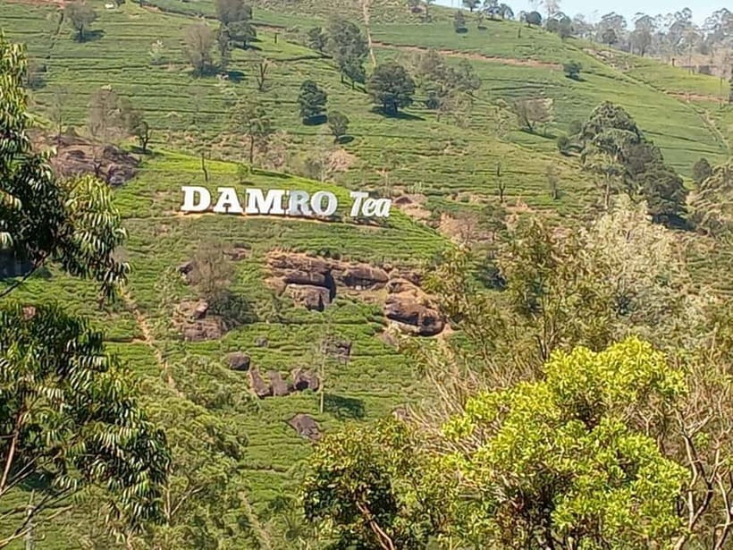 High-Grown Tea & Waterfall Wonders of Nuwara Eliya by tuktuk - Puna Ella Falls as a short roadside pause