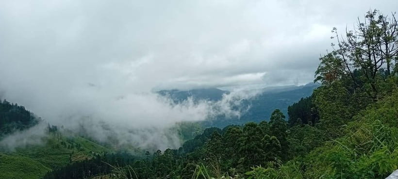 High-Grown Tea & Waterfall Wonders of Nuwara Eliya by tuktuk - Ramboda Falls for the main outdoor stop