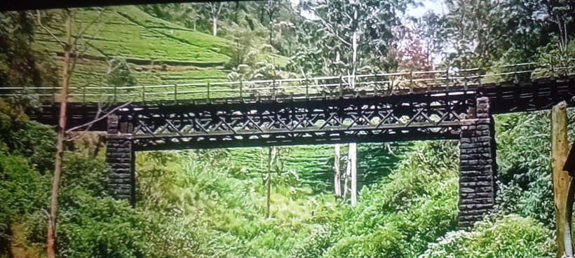 High-Grown Tea & Waterfall Wonders of Nuwara Eliya by tuktuk - Who should book this experience