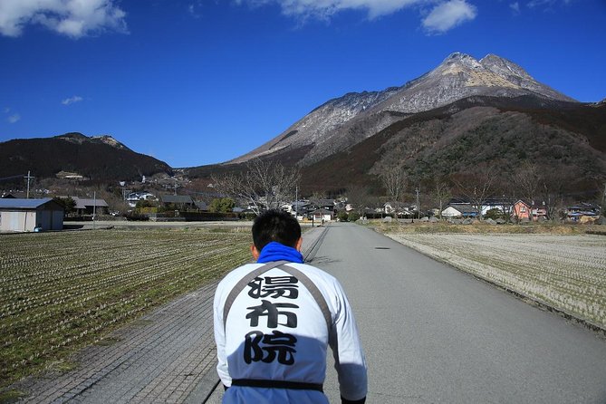 Hot Spring Capital of Yufuin Rickshaw Tour - Kozenin, a quiet Buddhist temple stop