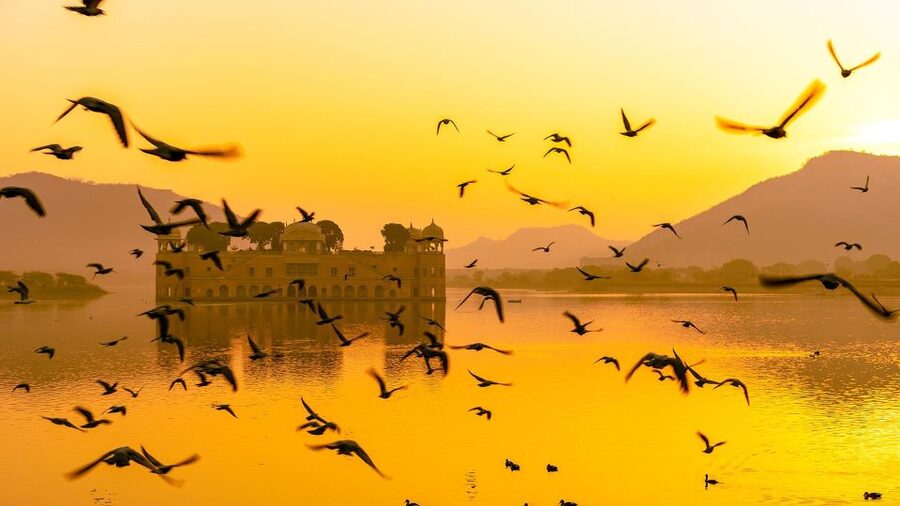 Jaipur: Full-Day Private Sightseeing Tour by Tuk Tuk - Jal Mahal is best treated as a lakeside photo stop