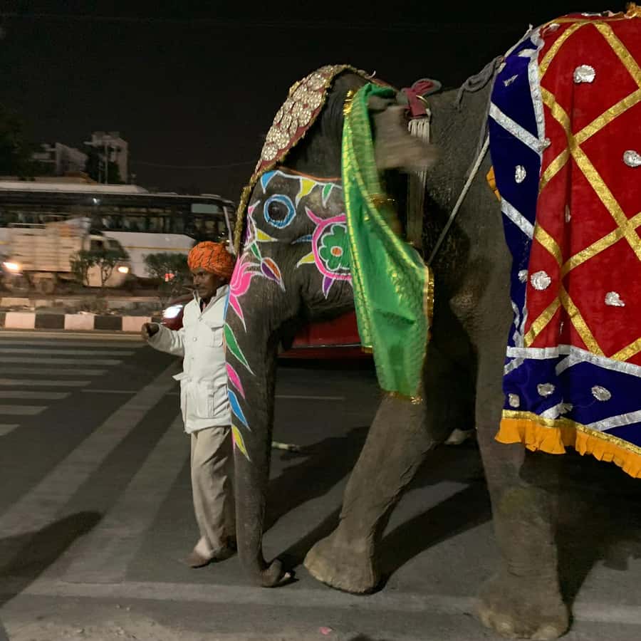 Jaipur: Night Tuk-Tuk Tour With Friendly Local Driver - Should you book this evening tour?
