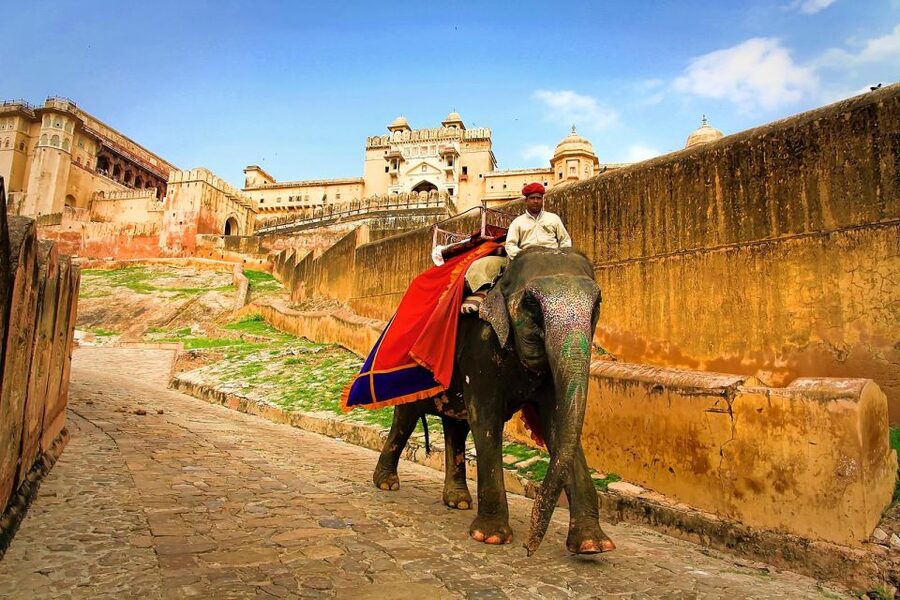 Jaipur: Private Full-Day City Tour by Tuk-Tuk or Car - Amber Fort and Panna Meena Stepwell