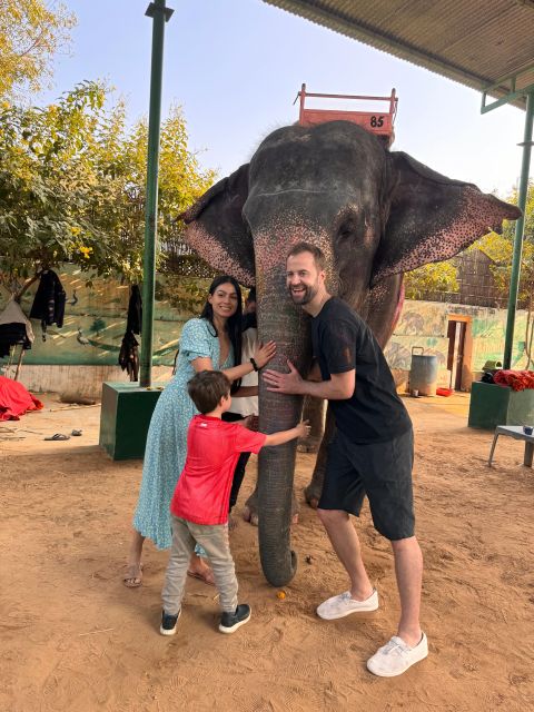 Jaipur: Private Full-Day Sightseeing Tour by Tuk-Tuk - Panna Meena Ka Kund and the value of a smaller stop
