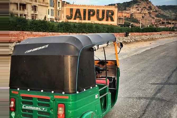 Jaipur Sightseeing by Tuk-Tuk - Jal Mahal is brief but memorable