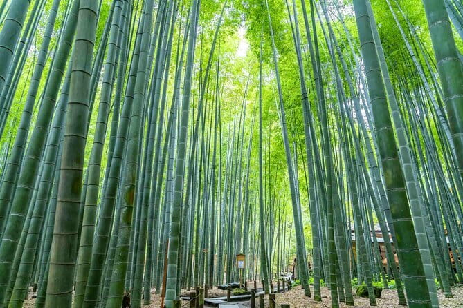 Kamakura Heritage Bike or Walk Tour with ex-Rickshaw guide - Why this route makes Kamakura easier to understand