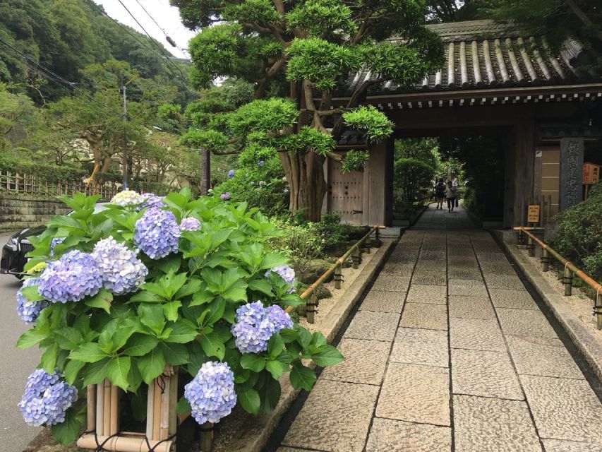 Kamakura: Private History and Heritage Tour by Rickshaw - The 1-hour-10-minute tour and Hokokuji Temple