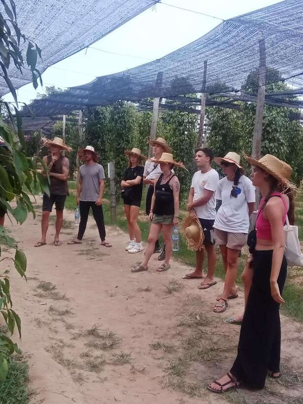 Kampot: Tuk Tuk Trip to Pepper Farm, Kep, Crab Market & More - Guides, comfort, and the pace of the day