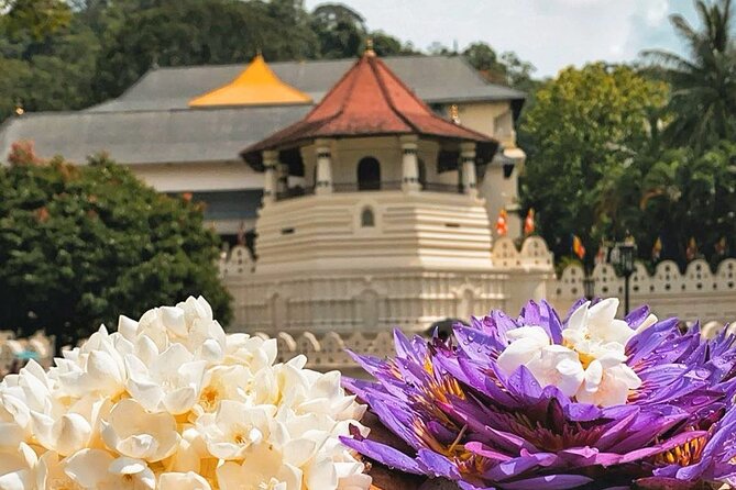 Kandy City Sightseeing and Ambuluwawa Tower by Tuk Tuk Tour - The guide can shape the quality of the day