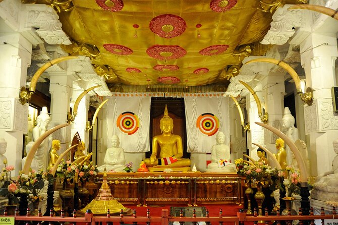 Kandy City Sightseeing Tour by Tuk Tuk - Why a tuk tuk works well in Kandy