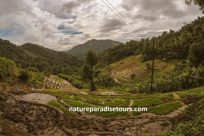 Kandy City Tour in a TukTuk - The spice walk adds scent and local tradition