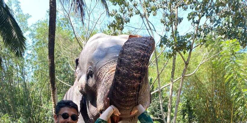 Kandy City Tours by Tuk Tuk - Who should book this Kandy day?