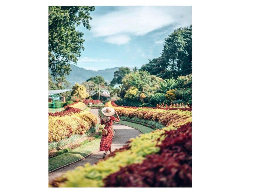Kandy: City Tuk-Tuk Day Tours with a Local Guide - Gadaladeniya Temple and the evening dance