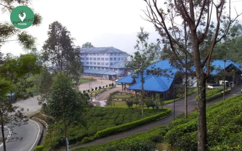 Kandy: Nuwara Eliya Day Explore by Tuk tuk with Local Guide - From Kandy’s heat to Nuwara Eliya’s cool hills