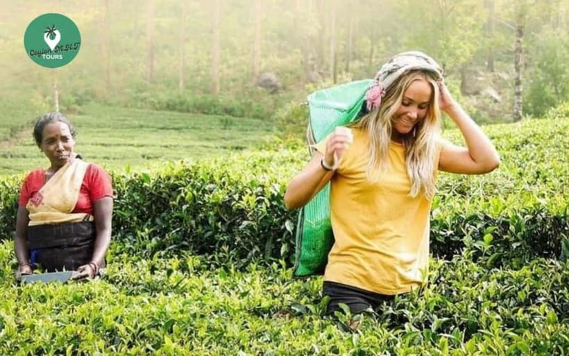 Kandy: Nuwara Eliya Day Explore by Tuk tuk with Local Guide - Nuwara Eliya’s Little England character