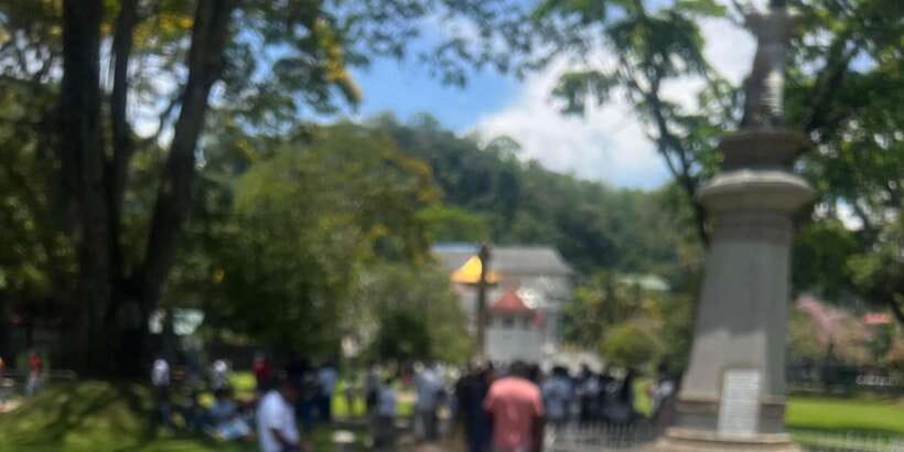 Kandy: Private City Highlights Guided Tour by Tuk-Tuk - The Price Needs Careful Reading
