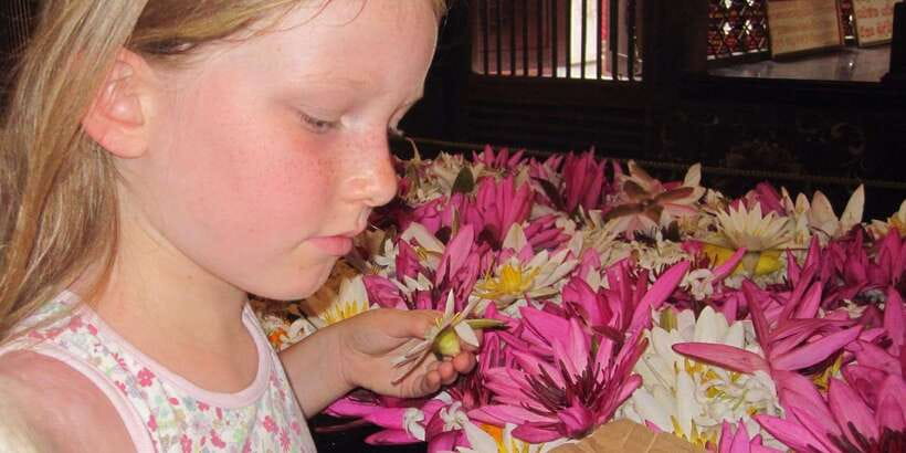 Kandy: Private Guided City Tours by Tuk Tuk Sightseeing Tour - Peradeniya Botanical Garden: the longest sightseeing stop