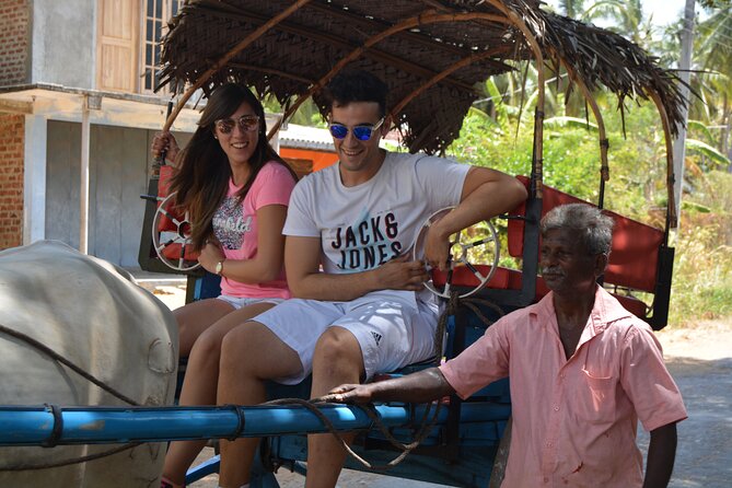 Kandy Sigiriya Day Trip by tuk,tuk/car/van - Dambulla Cave Temple and its temple monkeys