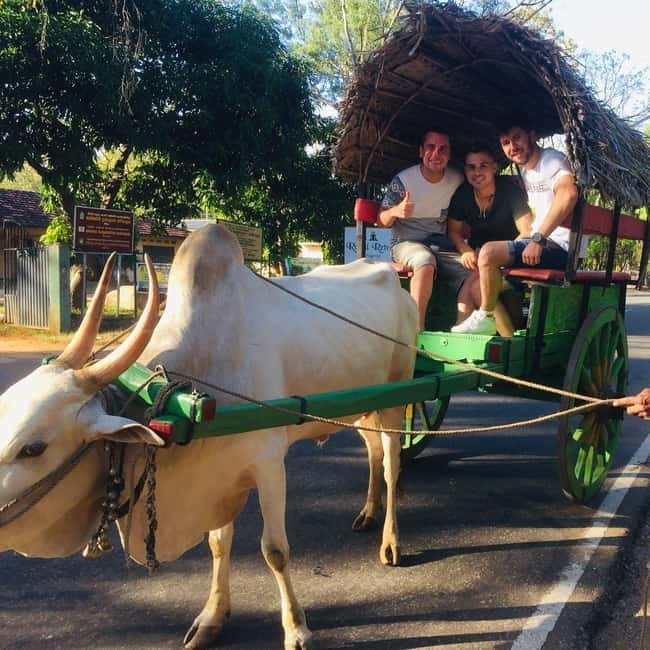 Kandy : Sigiriya Guided Day Tour By Tuk Tuk - Key points to know before booking
