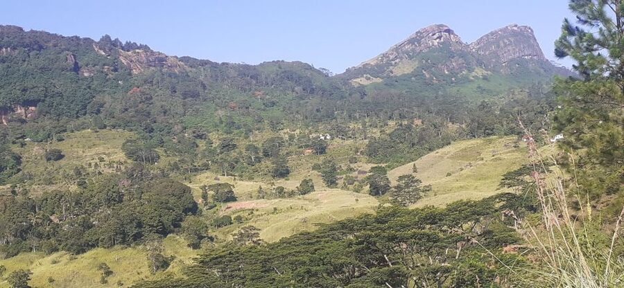 Kandy : Sigiriya Guided Day Tour By Tuk Tuk - The long lunch and free-time window