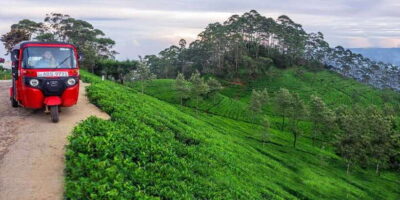 Kandy To Nuwara Eliya Day Tour By Tuk Tuk Sri lanka