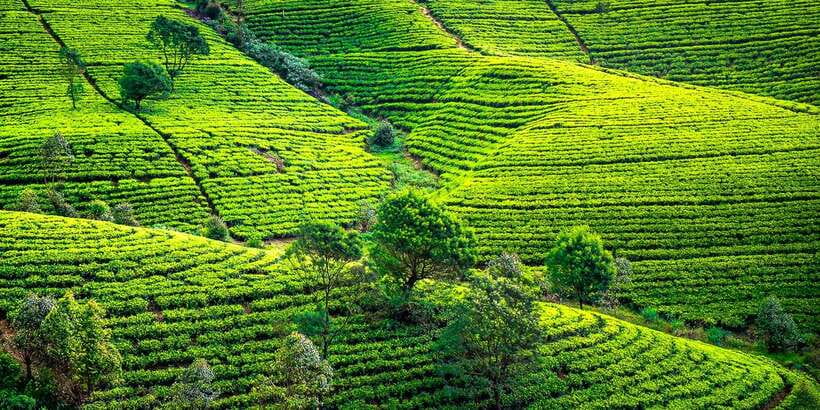 Kandy To Nuwara Eliya Day Tour By Tuk Tuk Sri lanka - Nuwara Eliya Post Office and Gregory Lake