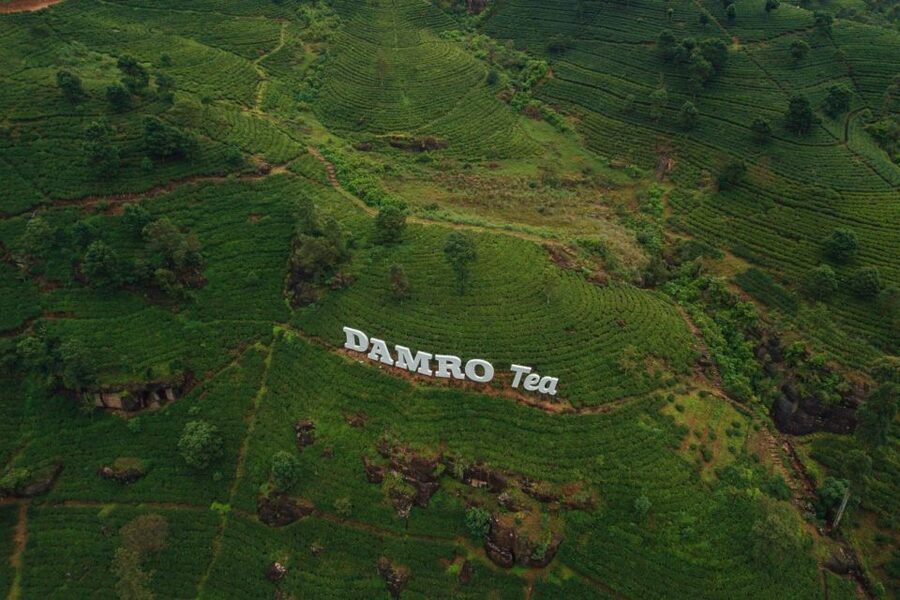 Kandy To Nuwara Eliya Day Tour By Tuk Tuk Sri lanka - What the guides add to the experience