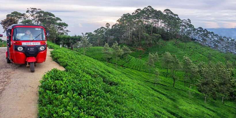 Kandy To Nuwara Eliya Day Tour By Tuk Tuk Sri lanka - Starting in Kandy at Asgiriya Stupa