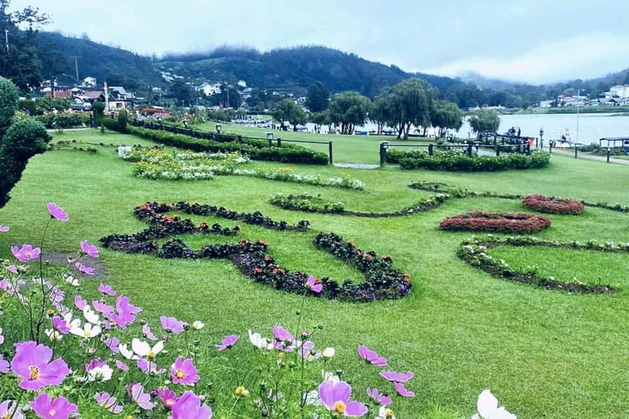 Kandy to Nuwaraeliya Day Or Drop Tour By Local Tuk Tuk - Key points at a glance