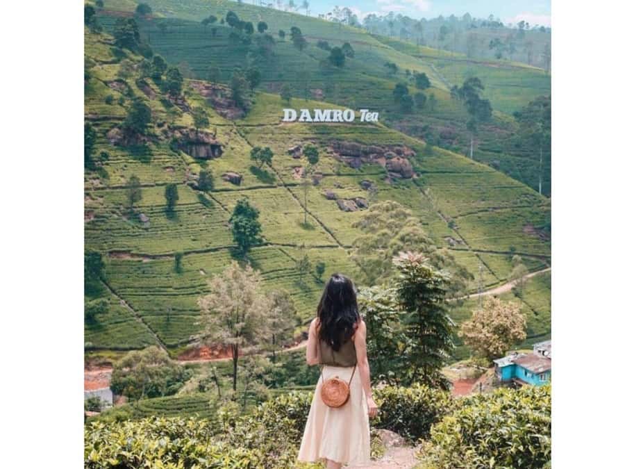 Kandy to Nuwaraeliya Day Or Drop Tour By Local Tuk Tuk - Entering Nuwara Eliya, Sri Lanka’s Little England