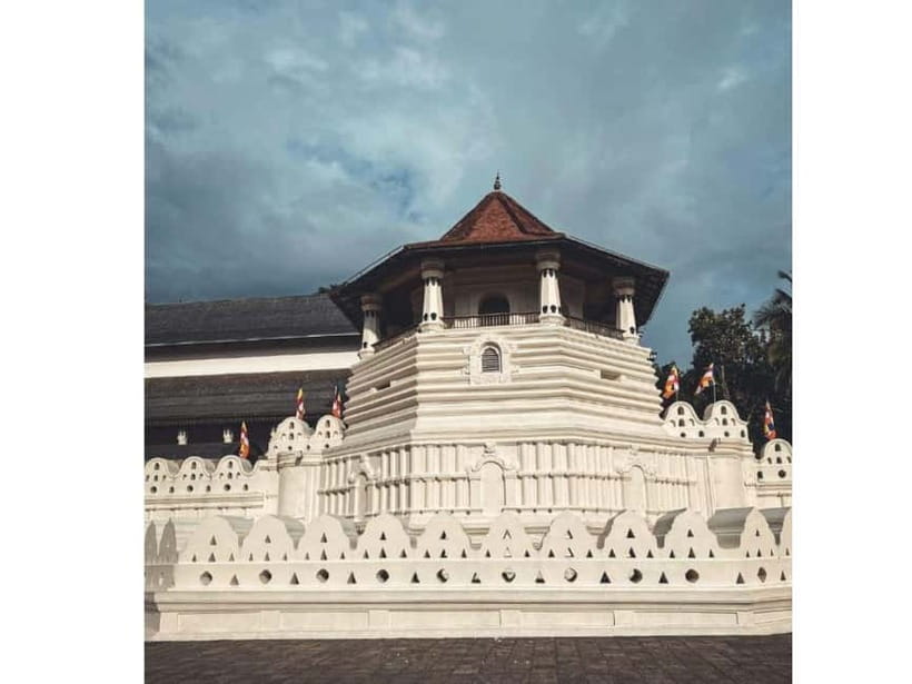 Kandy to Pinnawala Day Tour By Local Tuk Tuk Expedition - Ceylon tea with a guided tasting
