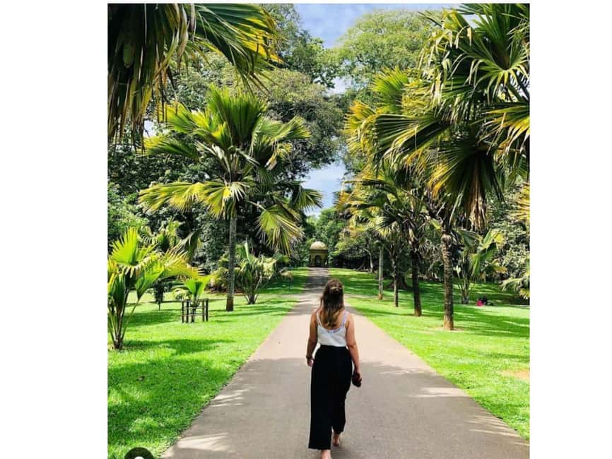 Kandy to Pinnawala Orphanage and Ambuluwawa TukTuk Day Tour - The Temple of the Tooth and Kandyan culture