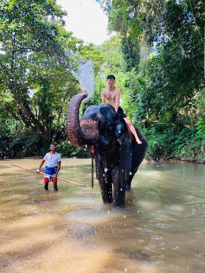 Kandy: Tuk Tuk Adventure with Pinnawala & Ambuluwawa Tower - Kandy’s temples and city views