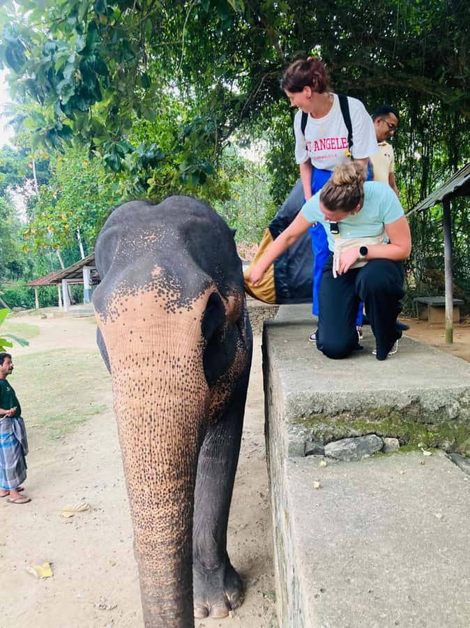 Kandy: Tuk Tuk Adventure with Pinnawala & Ambuluwawa Tower - Tea, spices, wood carving, and batik