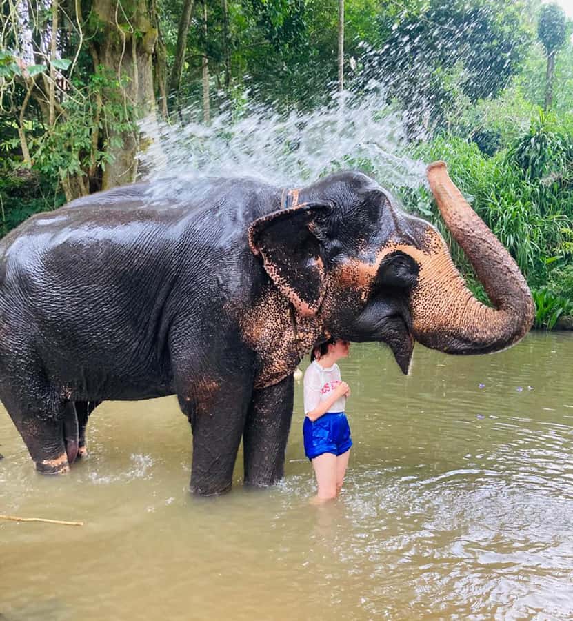 Kandy: Tuk Tuk Adventure with Pinnawala & Ambuluwawa Tower - Is $32 good value for eight hours?