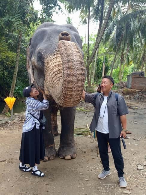 Kandy: Tuk Tuk Adventure with Pinnawala & Ambuluwawa Tower - Practical preparation for the day