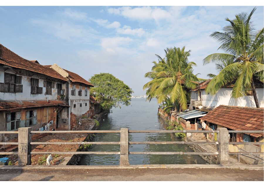 Kochi Insta Photo Walk with Tuk Tuk Ride Experience - Guide, language, and private-group value